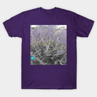 lavender 5 T-Shirt